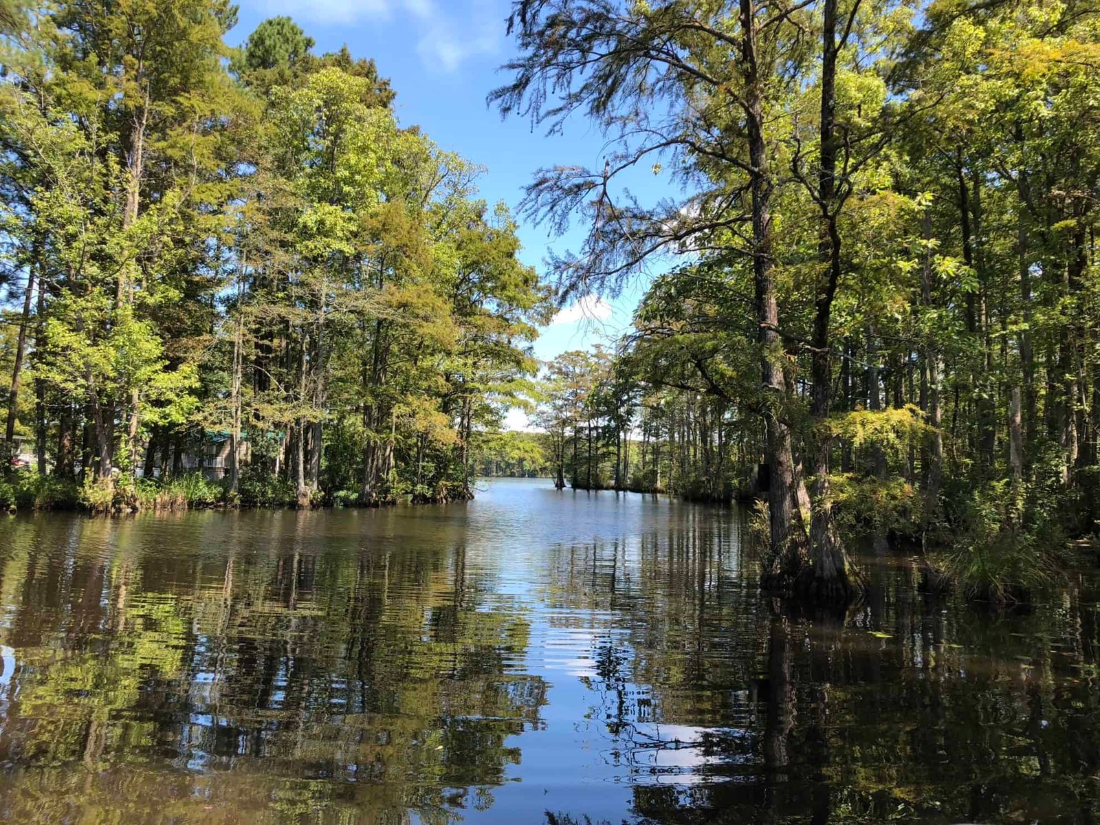 Chowan River: The Quest to Find a House for our Boat - Vacation Geeks