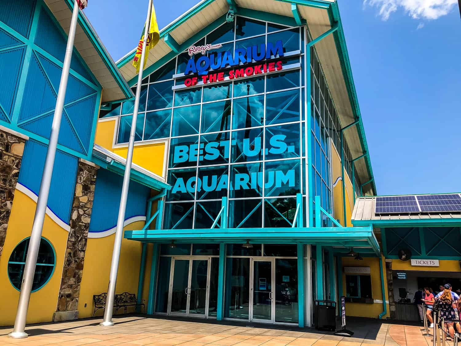 Feel Like a Diver in the Tank Tunnels at the Gatlinburg Aquarium ... - D2ZIBwPQqGnHG0wOG1cQ