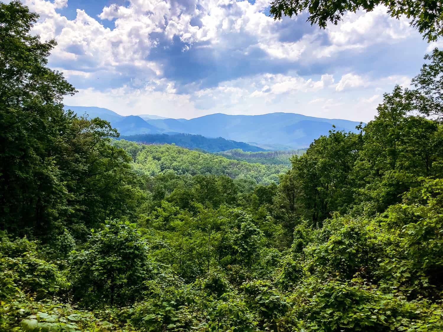 See the Best Waterfalls in the Smokies on the Roaring Forks Motor Trail